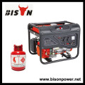 BISON (CHINA) 170F Motor Max Leistung 3000W LPG Methan Generator